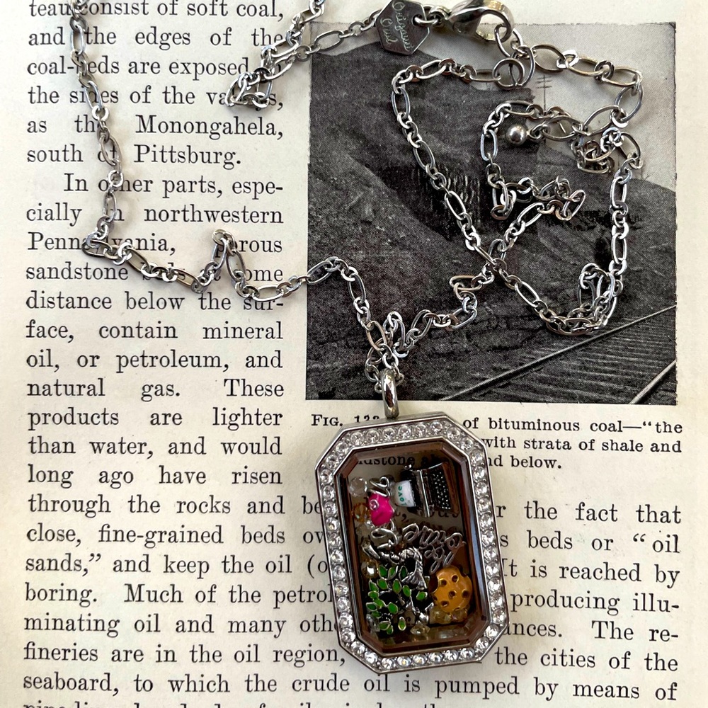 Large Origami Owl Living Locket Silver incl Chain and 6 Charms Plus Scatter